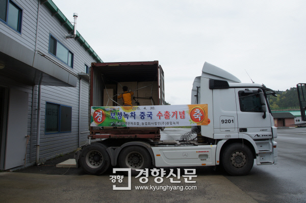 보성환경주 이미지