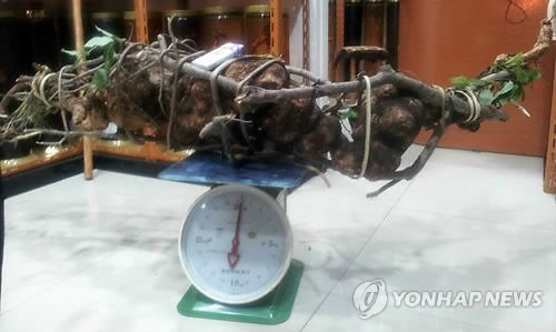 백씨상회 이미지