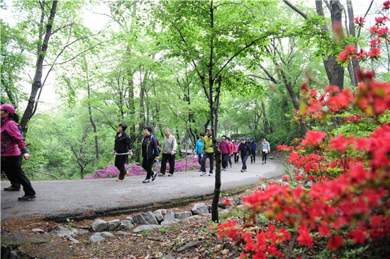 산사랑 이미지