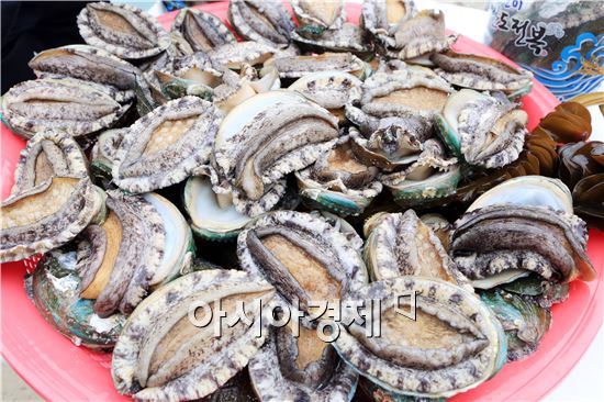 완도참전복 이미지
