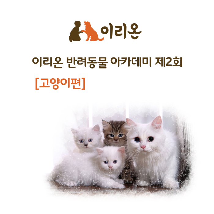 이리온 이미지
