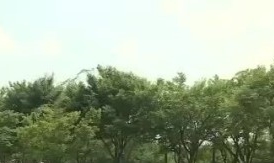 알프스통상 이미지