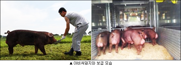 씨드센터 이미지