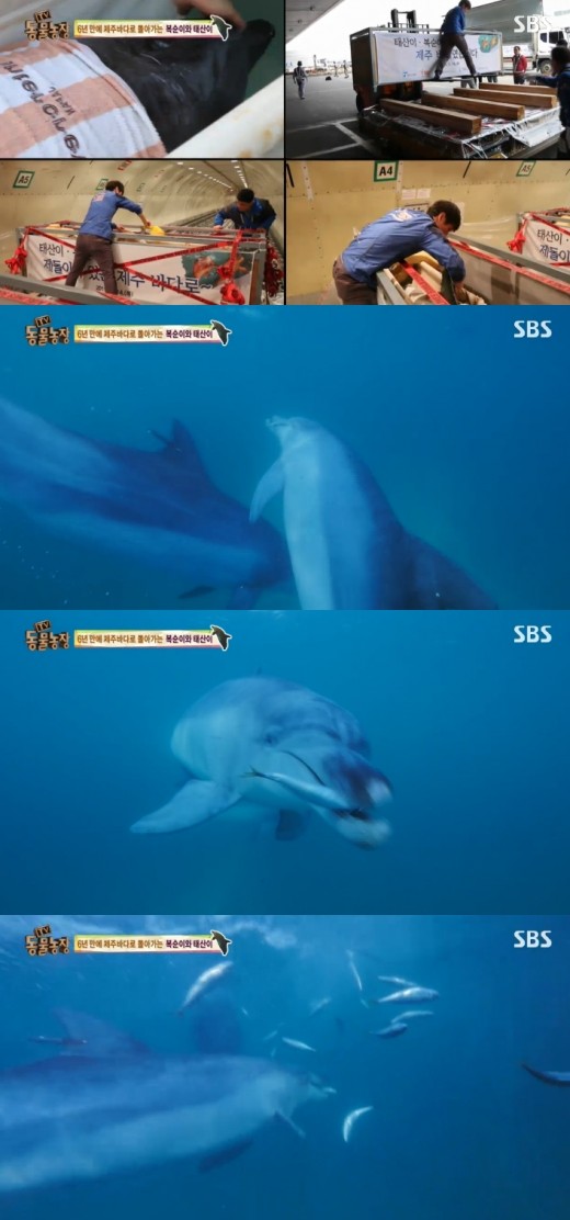 태산농장 이미지