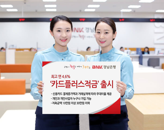 카드플러스 이미지