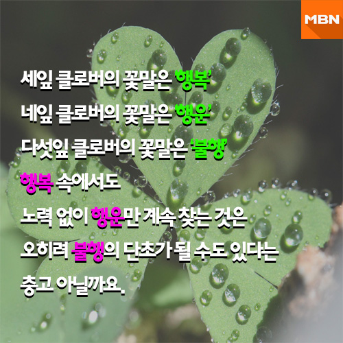 더클로버 이미지