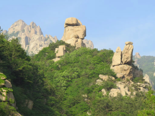 산세라 이미지