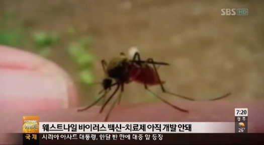 美 바이러스 이미지