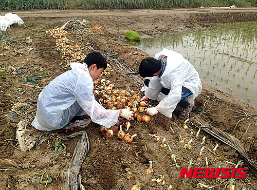 밀양중학교 이미지