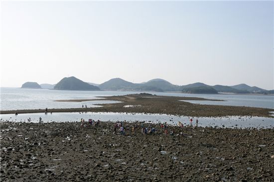 대호산업개발 이미지