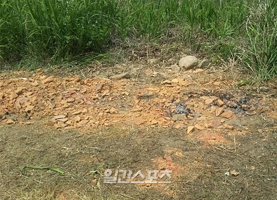 밀밭국수집 이미지