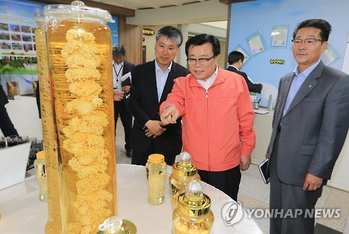 국립원예특작과학원 인삼특작부 이미지