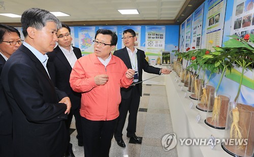 국립원예특작과학원 인삼특작부 이미지