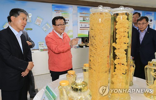 국립원예특작과학원 인삼특작부 이미지