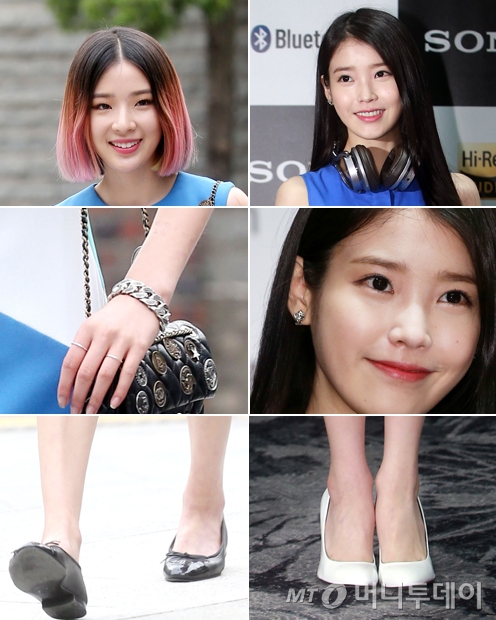 블루앤화이트 이미지