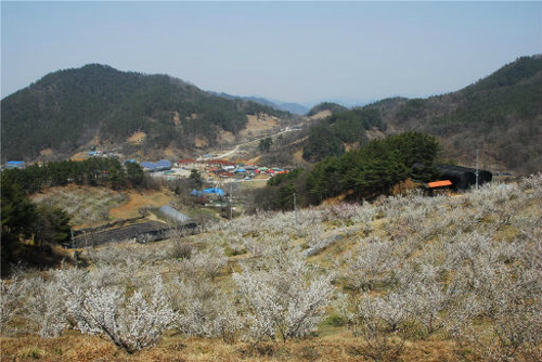 자연과호수 이미지