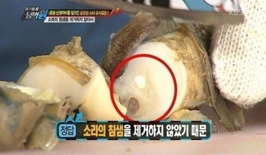 소라 이미지
