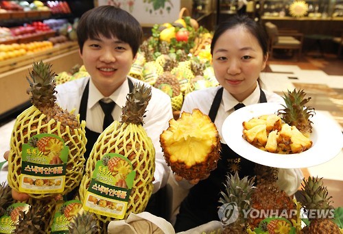 스낵강남 이미지