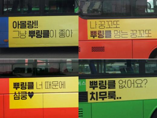 페리카나강화 이미지