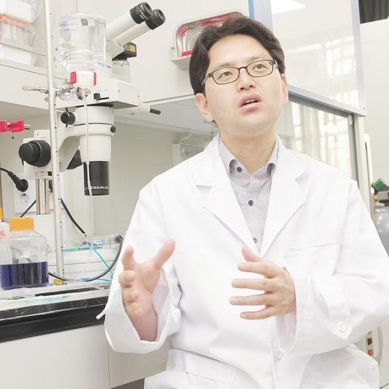 모사개발 이미지