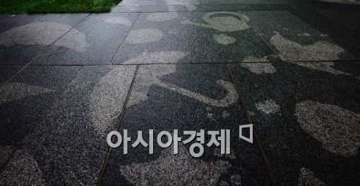 비디자인웍스 이미지