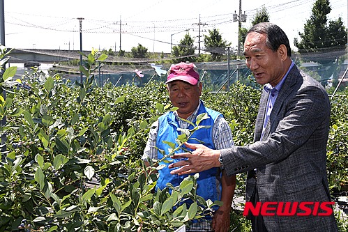 인해농원 이미지