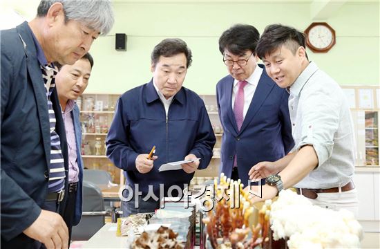 장흥버섯 영농법인 이미지