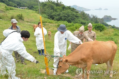 대민축산 이미지
