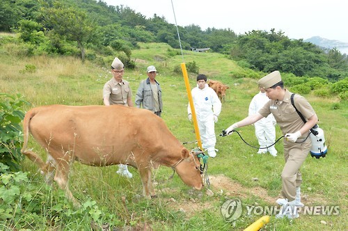 대민축산 이미지