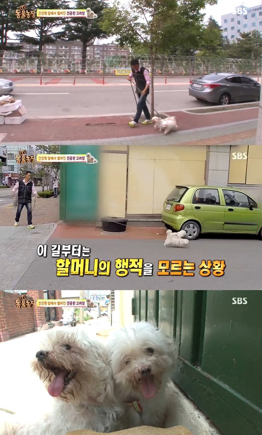 똘이 이미지