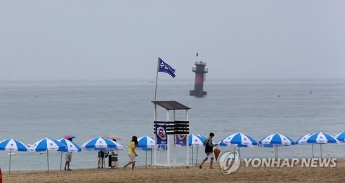 경포9호 이미지
