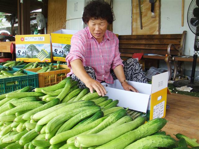 정이품 이미지