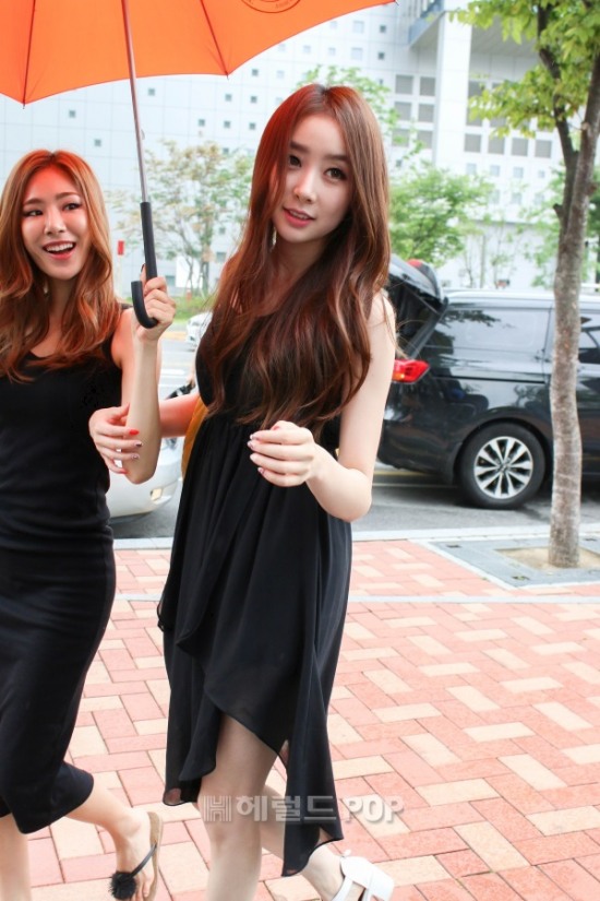 스텔라 이미지