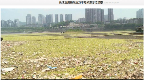 잔디밭 이미지
