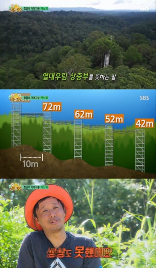 진캐노피 이미지