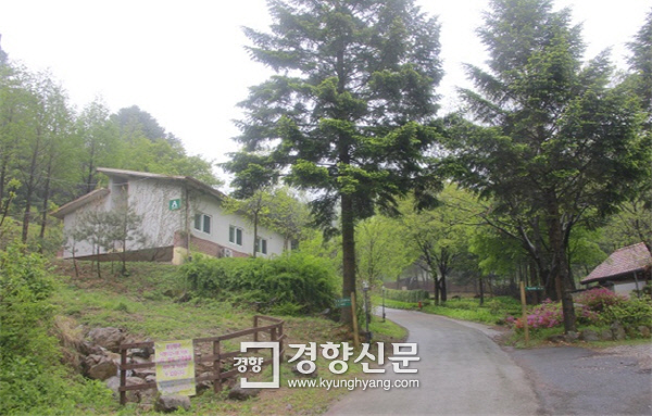 4 자연전망대 이미지