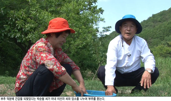 기양초 이미지