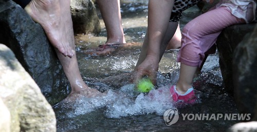 가마솥이가족발 이미지