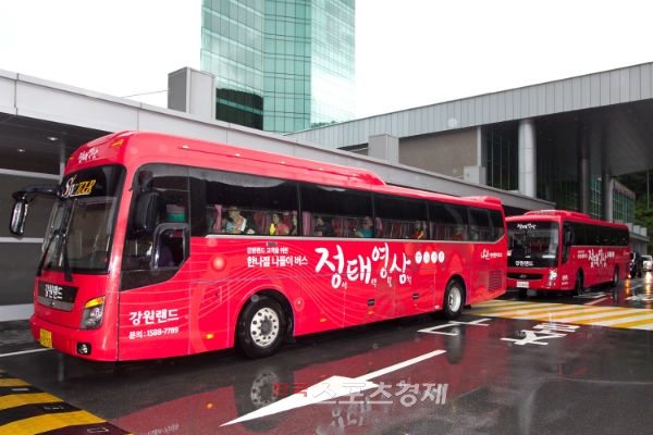 영투어 이미지