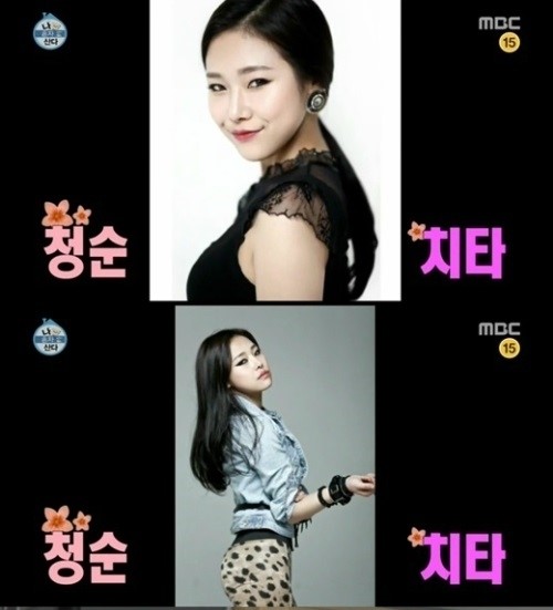 치타 이미지