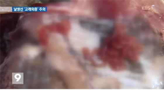 고래뜰 이미지