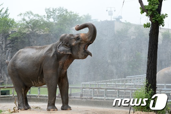 2015.8.11/뉴스1 © News1 정회성 기자