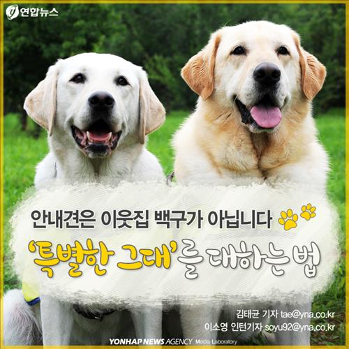 안내견을 대하는 몇가지 에티켓.jpg | 인스티즈