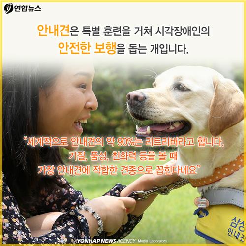 안내견을 대하는 몇가지 에티켓.jpg | 인스티즈