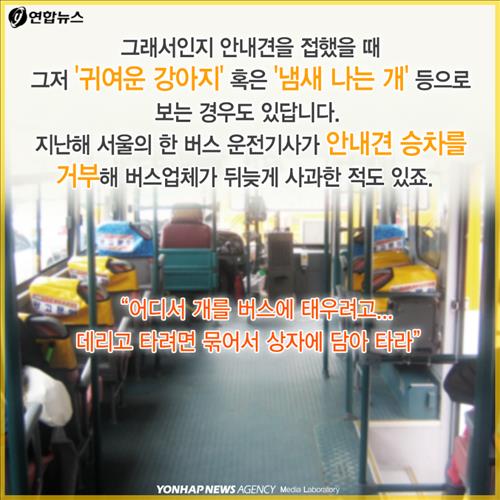 안내견을 대하는 몇가지 에티켓.jpg | 인스티즈