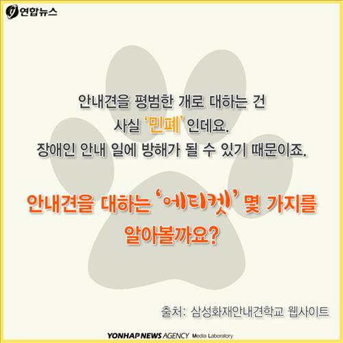 안내견을 대하는 몇가지 에티켓.jpg | 인스티즈