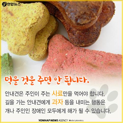 안내견을 대하는 몇가지 에티켓.jpg | 인스티즈