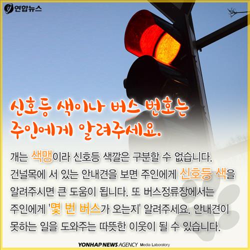 안내견을 대하는 몇가지 에티켓.jpg | 인스티즈