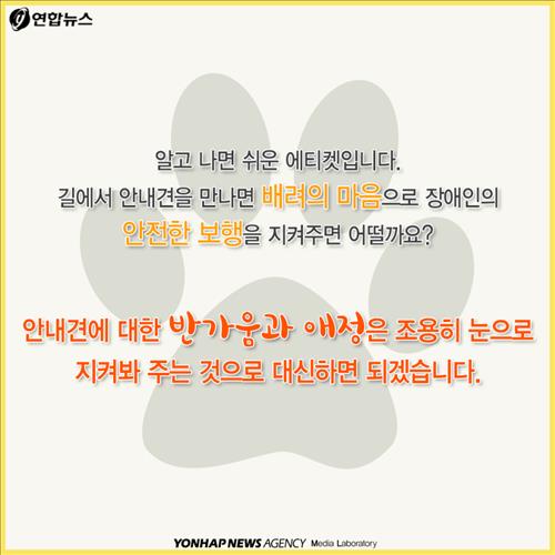 안내견을 대하는 몇가지 에티켓.jpg | 인스티즈