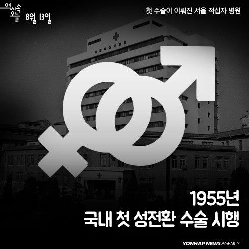 조군헤어 이미지